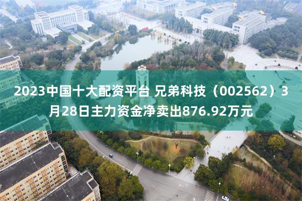 2023中国十大配资平台 兄弟科技（002562）3月28日主力资金净卖出876.92万元