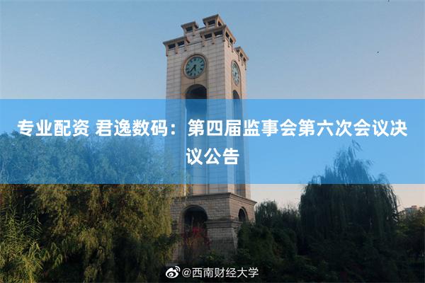 专业配资 君逸数码：第四届监事会第六次会议决议公告