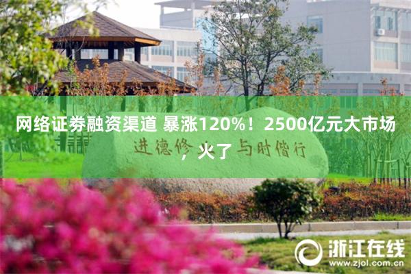 网络证劵融资渠道 暴涨120%！2500亿元大市场，火了