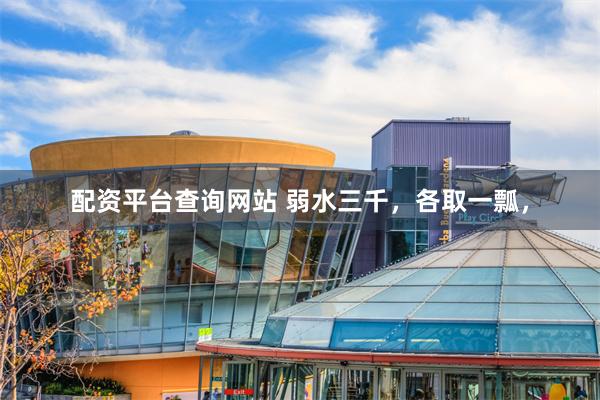 配资平台查询网站 弱水三千，各取一瓢，