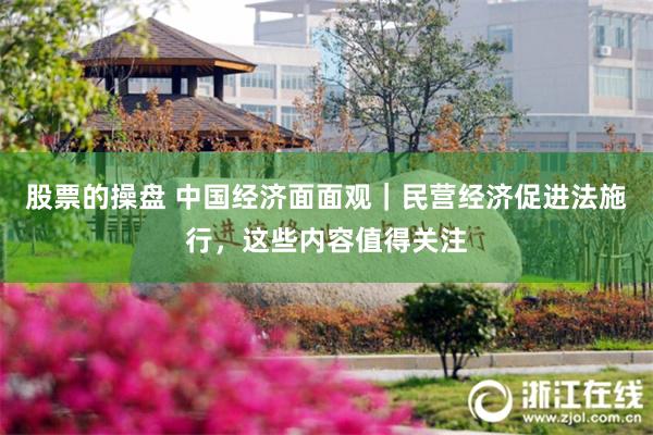 股票的操盘 中国经济面面观｜民营经济促进法施行，这些内容值得关注
