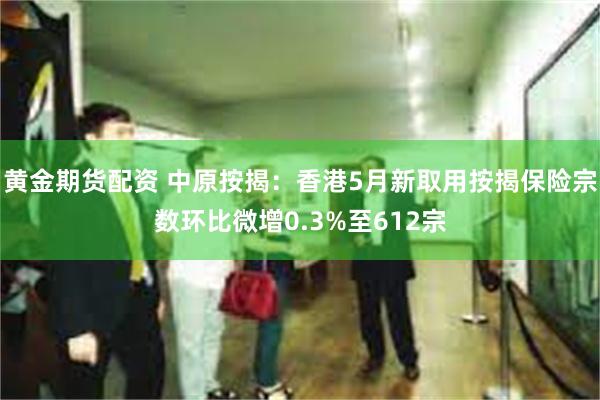 黄金期货配资 中原按揭：香港5月新取用按揭保险宗数环比微增0.3%至612宗