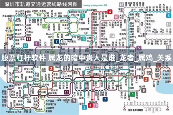 股票杠杆软件 属龙的暗中贵人是谁_龙者_属鸡_关系