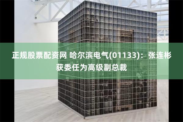 正规股票配资网 哈尔滨电气(01133)：张连彬获委任为高级副总裁
