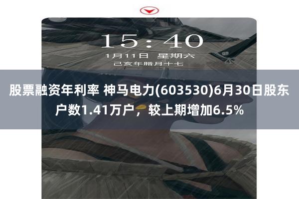 股票融资年利率 神马电力(603530)6月30日股东户数1.41万户，较上期增加6.5%