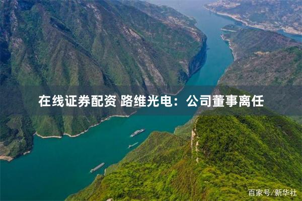 在线证券配资 路维光电：公司董事离任