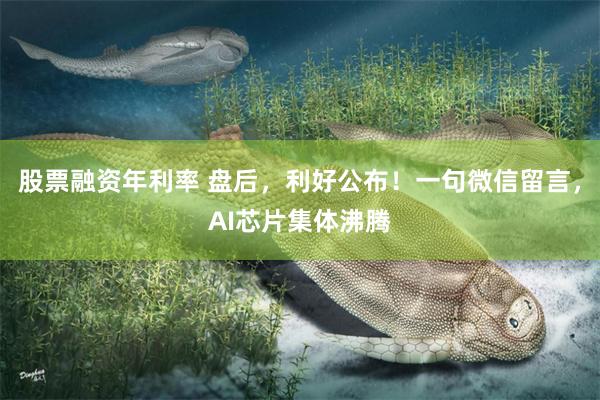 股票融资年利率 盘后，利好公布！一句微信留言，AI芯片集体沸腾