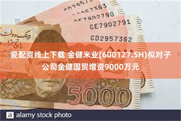 爱配资线上下载 金健米业(600127.SH)拟对子公司金健国贸增资9000万元