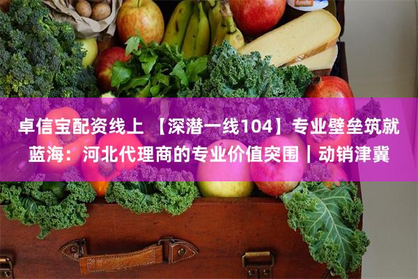 卓信宝配资线上 【深潜一线104】专业壁垒筑就蓝海：河北代理商的专业价值突围｜动销津冀