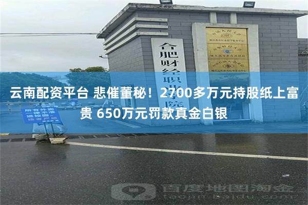 云南配资平台 悲催董秘！2700多万元持股纸上富贵 650万元罚款真金白银